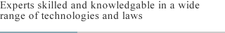 Experts skilled and knowledgable in a wide range of technologies and laws